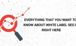 Everything That You Want To Know About White Label SEO Is Right Here