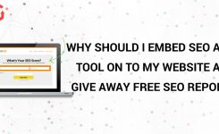 Why Should I Embed SEO Audit Tool On To My Website And Give Away Free SEO Reports?