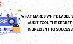 What Makes White Label SEO Audit Tool the Secret Ingredient to Success