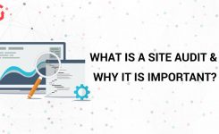 What Is a Site Audit & Why it is important?