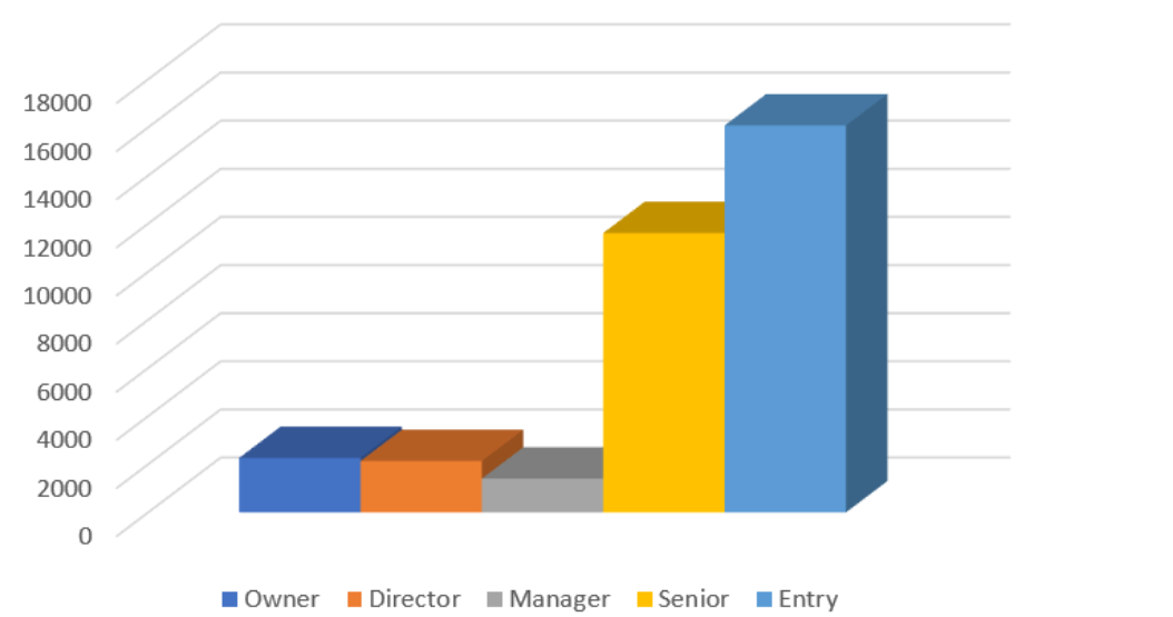 SEO Professionals